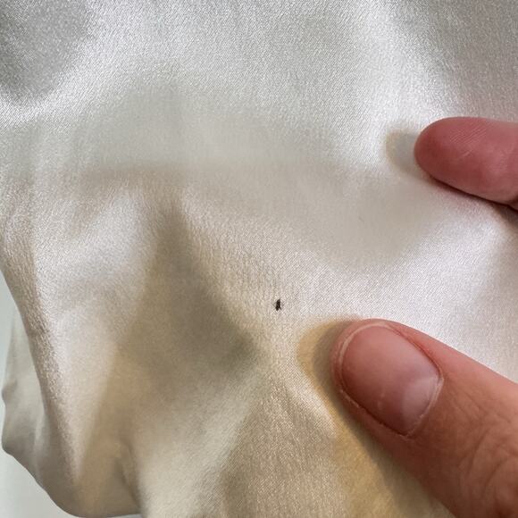 Roksanda White Statement Balloon Sleeve Dress Size 2 NWT Elegant Minimalist - Picture 5 of 15